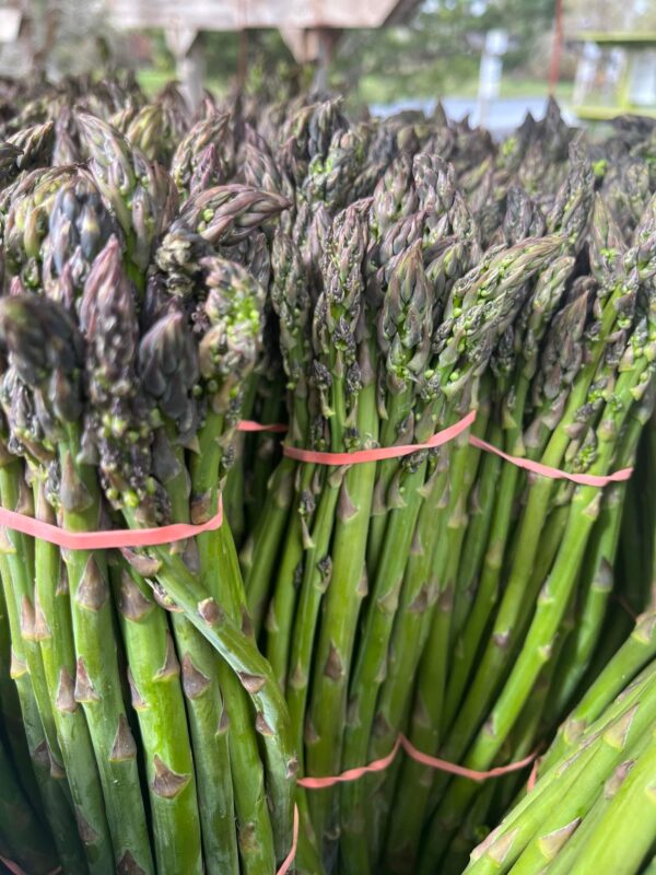 bundles of Asparagus on sale