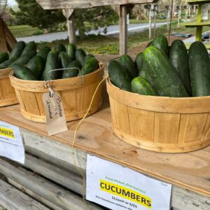fresh cucumbers in baskets for sale at our Farm Stand